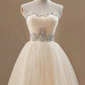 Lovely Tulle Party Dresses, Short Party Dress,..